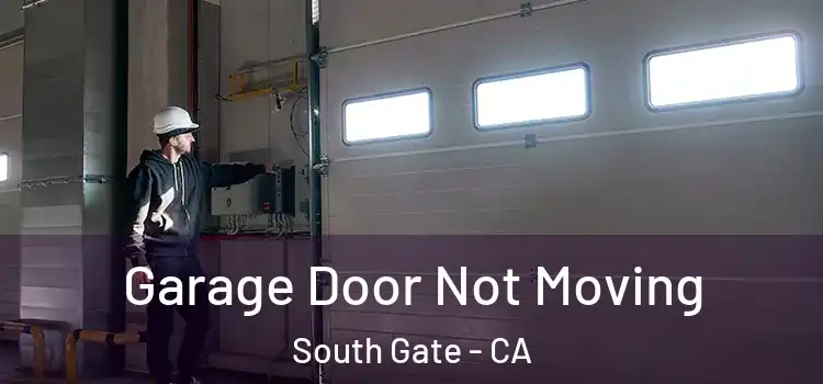  Garage Door Not Moving South Gate - CA