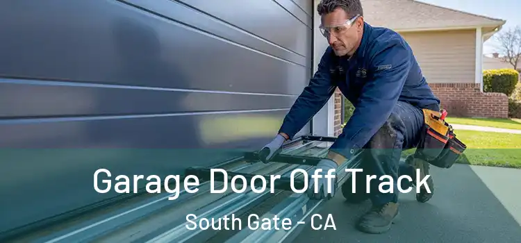 Garage Door Off Track South Gate - CA